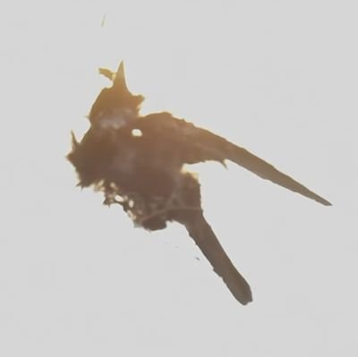 AlvaGunner's profile picture. I make music and little movies.