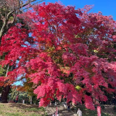 Gohan21718's profile picture. 