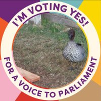 Elizabeth Attard (@elizabethattar5) 's Twitter Profile Photo Elizabeth Attard (@elizabethattar5) 's Twitter Profile Photo