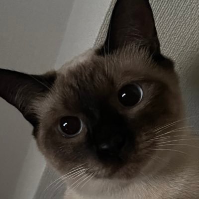 亡きものさんのプロフィール画像