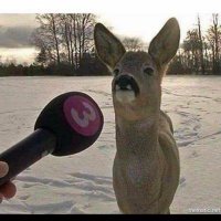 Lee Opie (@leeopie263385) Twitter profile photo