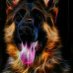 otila (@otila) Twitter profile photo otila (@otila) Twitter profile photo