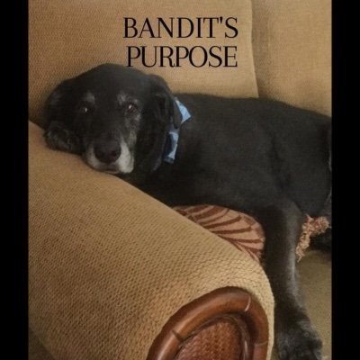 ScoobyDont1918's profile picture. Con-Artist radar on “Full Effect “ NO PERSONAL INFORMATION WILL EVER BE GIVEN !!! 😂😂😂