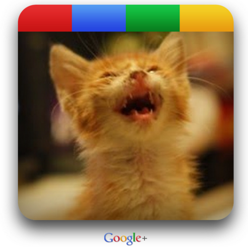 ttgodjj's profile picture. 