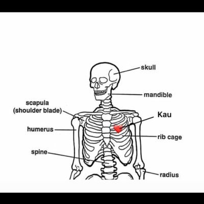 esmdr_'s profile picture. Tiada apa2 sini,Sana kau!