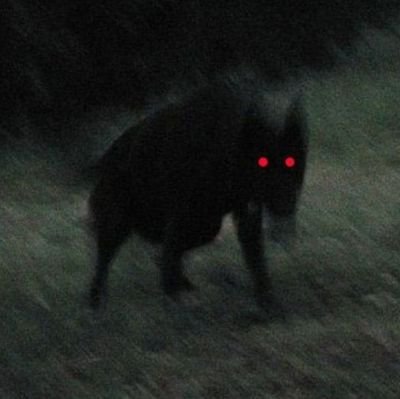 🔞, he/him, 23, trans, monster artist, nsfw concepts, age in bio or pinned or else ur blocked!!