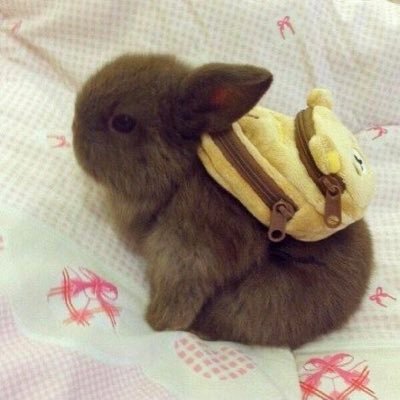 Iavenderpool's profile picture. 