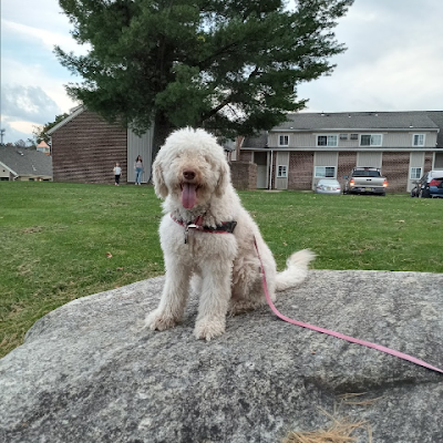 gauth32320's profile picture. ?