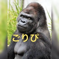 ごりぴ@ツリネバ (@po_sansei) 's Twitter Profile Photo