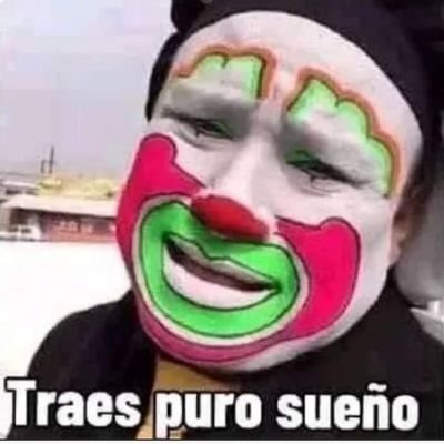 elvergalarga459's profile picture. 