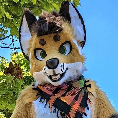 Male, 34, Gay, Suiter 

Ich bin ein lieber, lustiger und für jeden Spaß zu begeisternder Folf. Lovely taken by @Iggi459 💍❤️