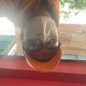 Area51noy's profile picture. i’m free | 411