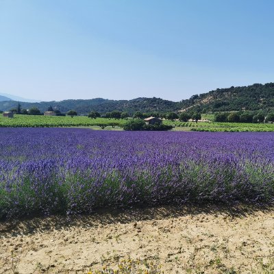 vhinderer's profile picture. Threat Intelligence Guy