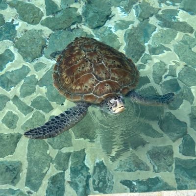 政治経済AI子育てなどの情報収集アカウントです。普段は製造業の研究員で、最近一児の親になりました。よろしくお願いします。現在、国民民主党党員になりました。第3回政治塾参加 #国民民主党 #玉木雄一郎