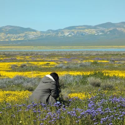 Genomic Data Scientist at CDPH,
Environmental Science Masters Graduate at CSUMB, (she/her). All opinions are my own.