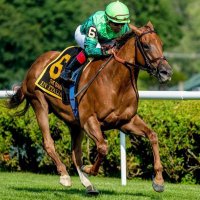Joel Rosario (@j_rosariojockey) 's Twitter Profile