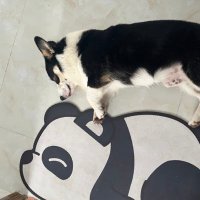 Renay kim (@renayk7777) 's Twitter Profile