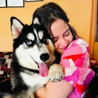 husky lover ig (@ighusky99435) 's Twitter Profile