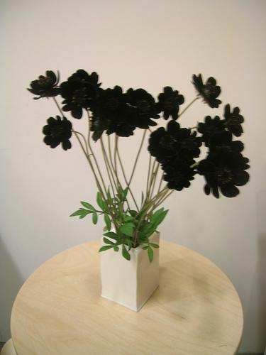 Halen_69y_'s profile picture. 近いいことばっかり引き寄せ上手みたい毎月、大人が本気で遊ぶイベント企画中（日記参照）向上心あり