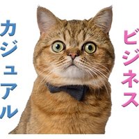 ミヌエットのモペットちゃん (@dynamitekousuke) 's Twitter Profile