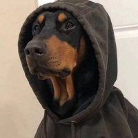 m (@m668890) 's Twitter Profile