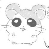 山田さんのプロフィール画像