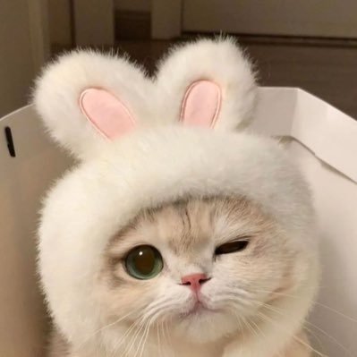 02Webnovel's profile picture. 