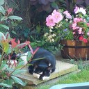 Becky Herbert - @Herbert3008 - Twitter