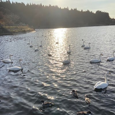 JI16399Zyu6682's profile picture. 音楽・温泉・スポーツ・動物好き(保健所の子をリポストしてます)・(副業・エロNG‼️)