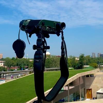 ankurmendi's profile picture. DD