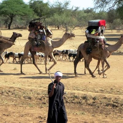 The_Arabian_Guy's profile picture. Bio