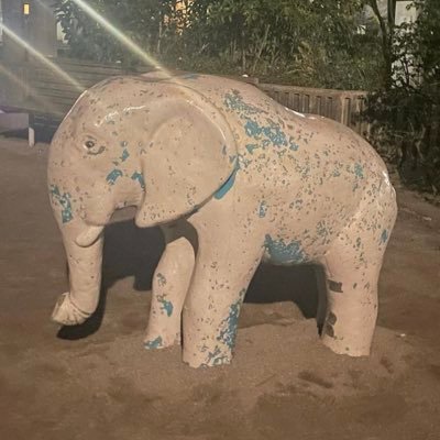 u8e14_'s profile picture. 涅槃で待つ