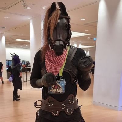 Sysadmin - Pferd - PonyPlayer 🐴