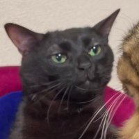 maxx (@d2_maxx) 's Twitter Profile