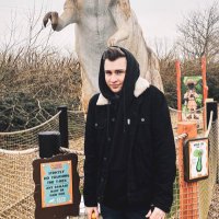 Joe Samuels (@thejoesamuels) 's Twitter Profile
