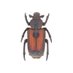coll.col (@coll_col_) Twitter profile photo coll.col (@coll_col_) Twitter profile photo
