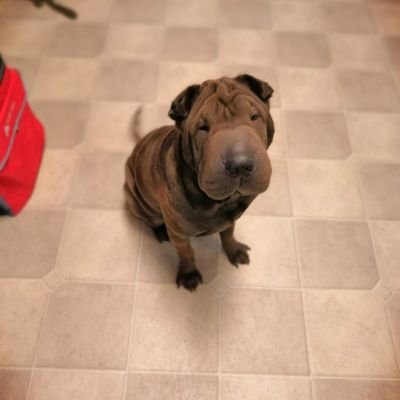 TheyWillRiseUp's profile picture. We don't know why we're here. 
So, make the best of it and enrich each other and yourself.