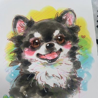 aiko_pikamaru's profile picture. aikoジャンキー🌼30代女子𖤐福岡𖤐シアワセからずっとaikoだけがすき♥♥LLP15~𖤐⋆*気軽に仲良くしてださい♡2025.9/13は名前を呼ばれた大事な記念日⸜❤︎⸝‍名探偵コナンも激推し👓⋆͛💎