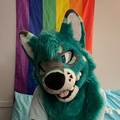 Ardimiss_wolf's profile picture. fursona: Ardimiss age:26