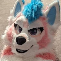 beaver (but also HUSKY!!) (@omgitsbeav) 's Twitter Profile