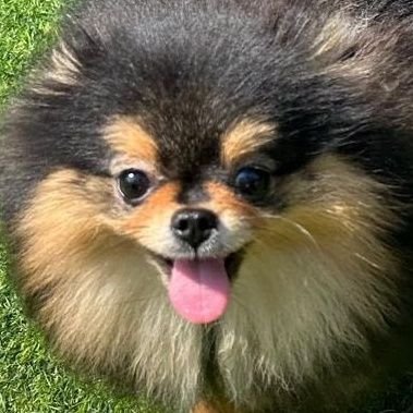 heoni_116's profile picture. 1차bl/성우이야기 합니다