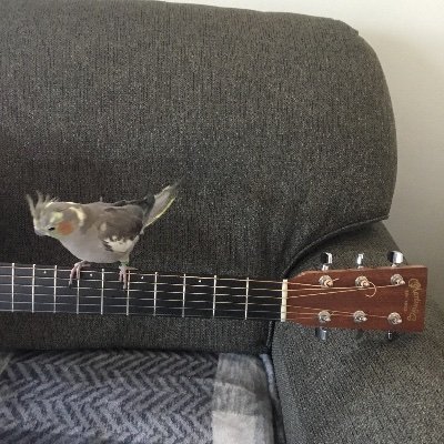 DanaSki87141351's profile picture. 