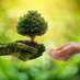 🇷🇼Niyibizi🌳Elie💚 (@agro_forest01) Twitter profile photo 🇷🇼Niyibizi🌳Elie💚 (@agro_forest01) Twitter profile photo