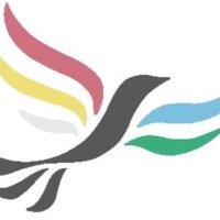 LDDA - Liberal Democrat Disability Association (@disabilityld) 's Twitter Profile