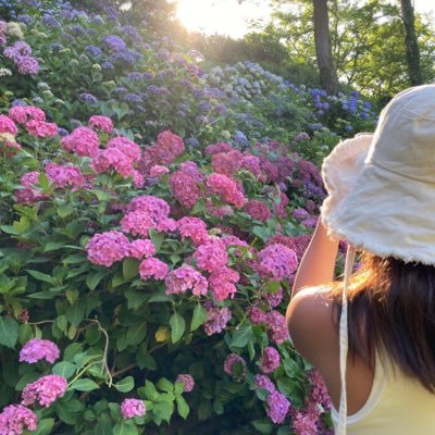 sushisukiyay's profile picture. 🍣