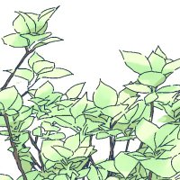 三山あお/にじそ【東4 ま-29】 (@mia_nj2) 's Twitter Profile Photo 三山あお/にじそ【東4 ま-29】 (@mia_nj2) 's Twitter Profile Photo