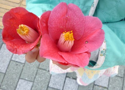 _stxnelxve's profile picture. 大切…家族・ねこ・散歩・睡眠・山歩き・キャンプ・ボ〜とする時間・音楽・珈琲、、、。 自分の世界を広げたいと日々問答。