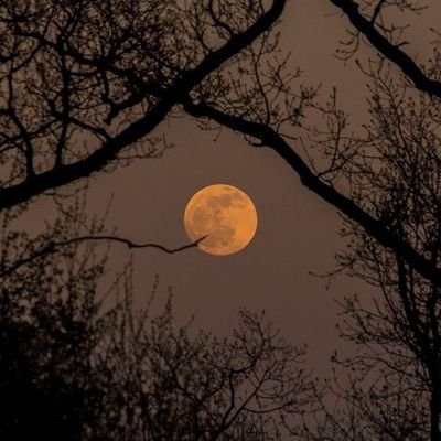 s86028's profile picture. i call everyone bestie -
CEASEFIRE NOW 🇵🇸
FREE PALESTINE 🍉