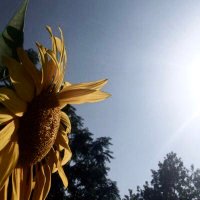 ea 🌱 (@ebru6nay) 's Twitter Profile