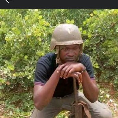 RobinsonN66063's profile picture. Deal on mining like Gold conscer micker tamaline morga and timber (log)aper